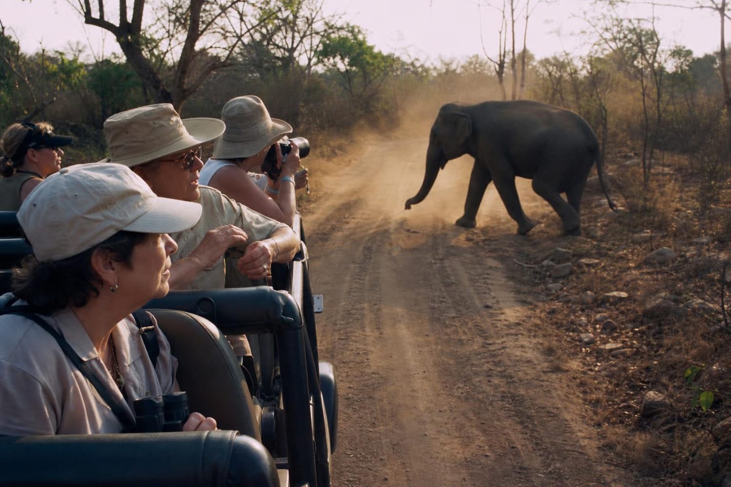 Safari i Sri Lanka